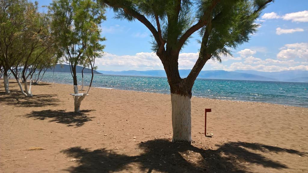 Poseidon Bungalows Ірія Екстер'єр фото